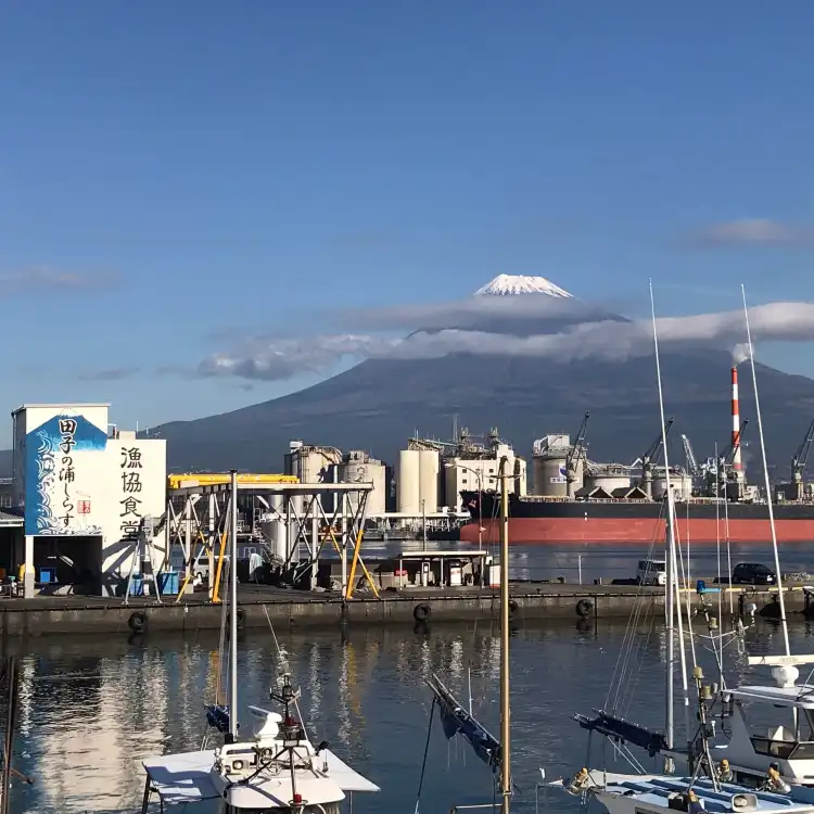 Hotels near Tagonoura Port
