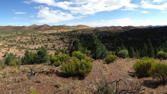 Warraweena Conservation Park