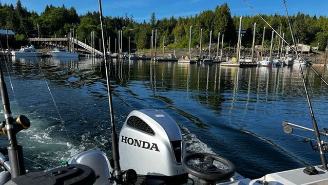 Knudson Cove Marina