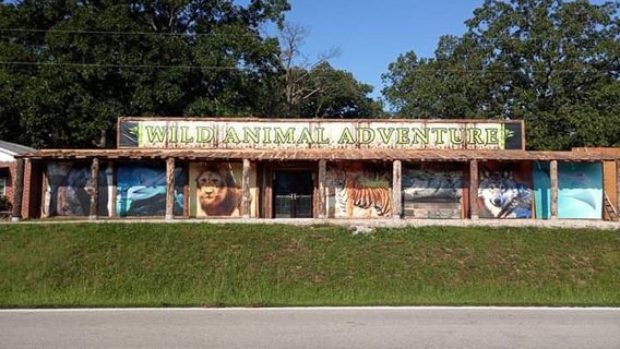 Wild Animal Adventures