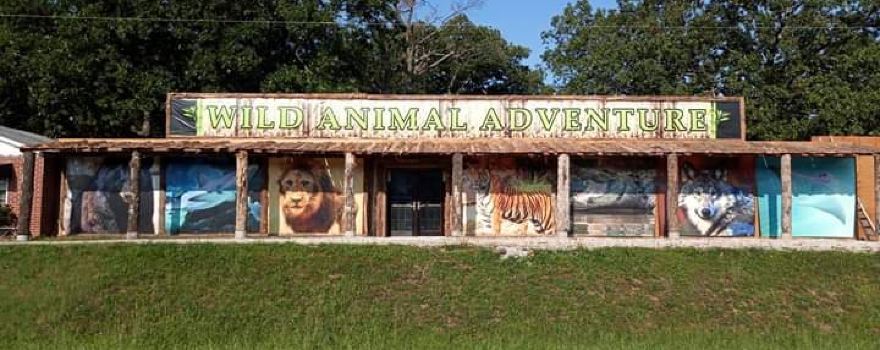 Wild Animal Adventures