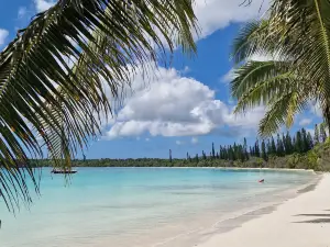Isle of Pines
