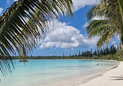 Isle of Pines