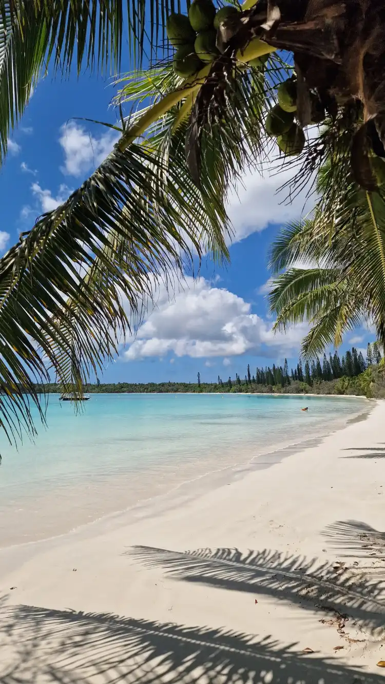 LÎle-des-Pins