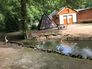 Tiergehege im Sahn Park