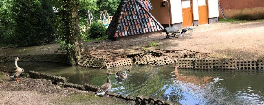 Tiergehege im Sahn Park