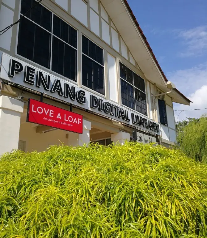 Jelutong