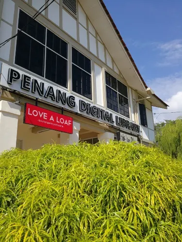 Jelutong
