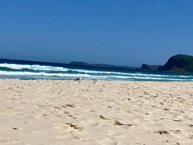 Hôtels à : Elizabeth Beach