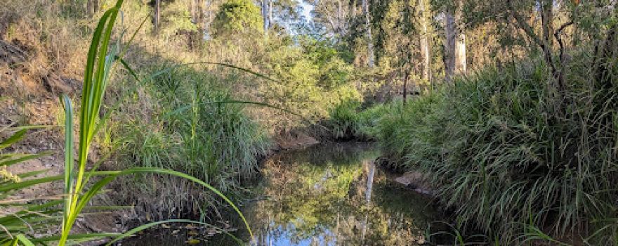 Noble park