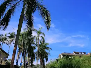 Hutan Lipur Soga Perdana