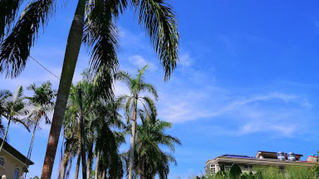 Hutan Lipur Soga Perdana
