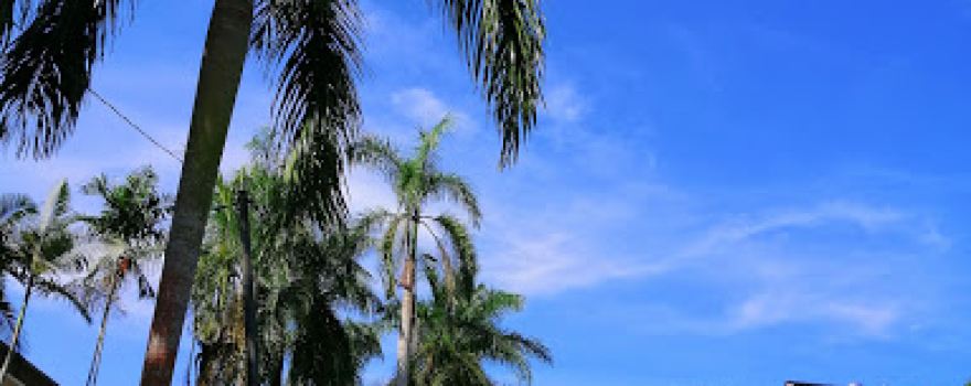 Hutan Lipur Soga Perdana