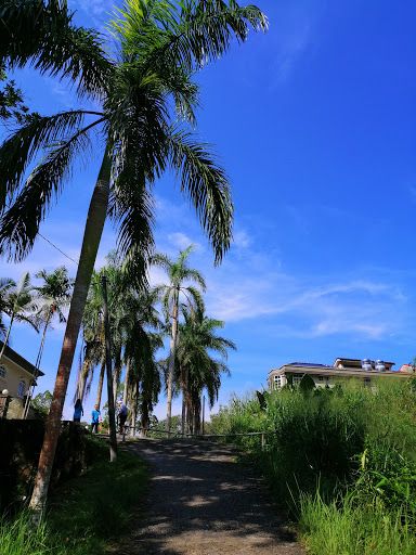 Hutan Lipur Soga Perdana
