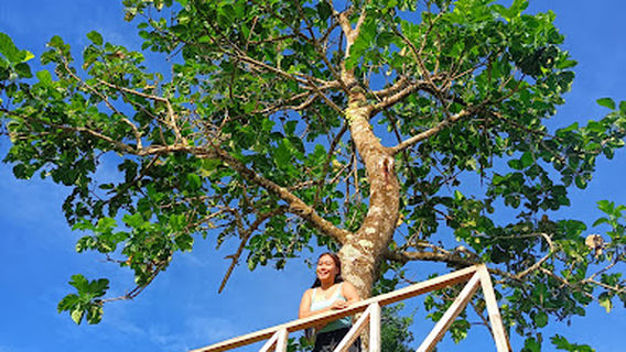 RKR Nature Park