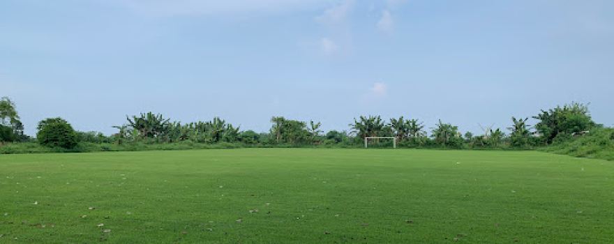 Lapangan BuayaPutih Sugo