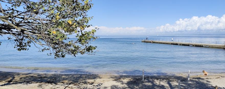 Beach San Simon