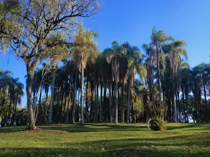 Parque das Palmeiras, Chapecó SC