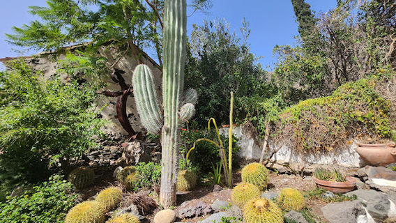 Fataga, pueblo Canario