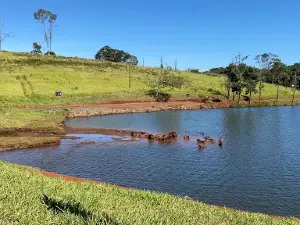 Parque da Raposa