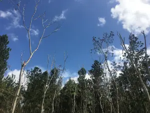 Sandy Hill Nature Park