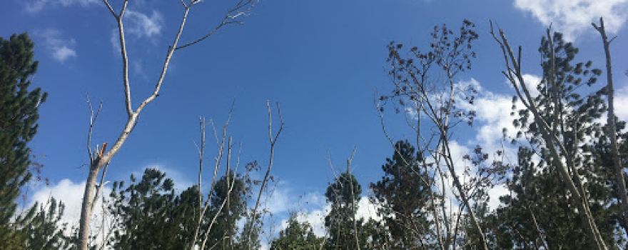 Sandy Hill Nature Park