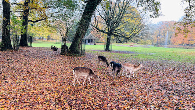 Stadsboerderij de Hout