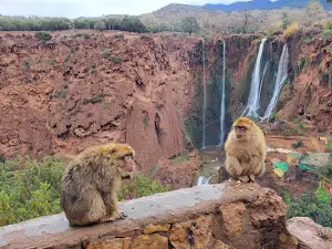 Sources Cascades Ouzoud