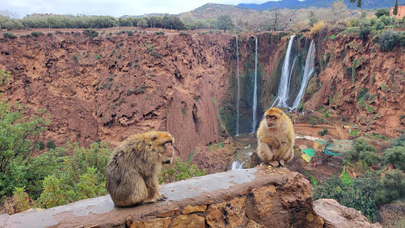 Sources Cascades Ouzoud