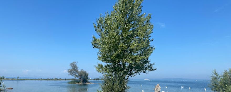 Aussichtspunkt