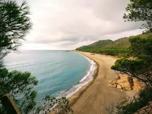 Platja Del Torn