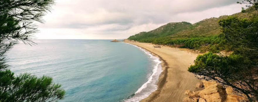 Platja Del Torn