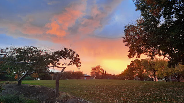Battery Point Park Playground