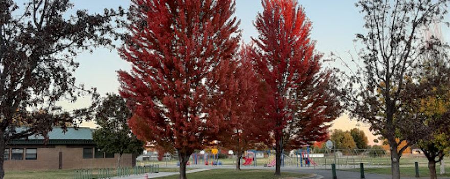 Foote Park