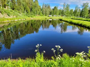 Camp Dammån