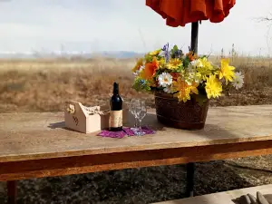 Mustang Mountain Vineyard