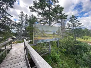 Indian River Walking Trail