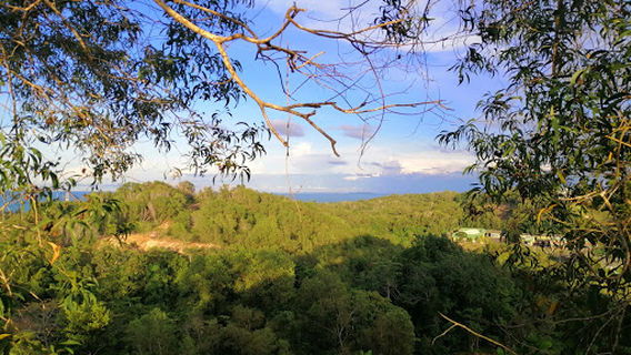 Bukit Kubong Walking Trail