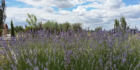 Parc de les Olors de Linyola