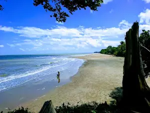 Pantai Sesulung