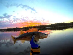 Wabigoon Lake Outfitters Fishing Camp