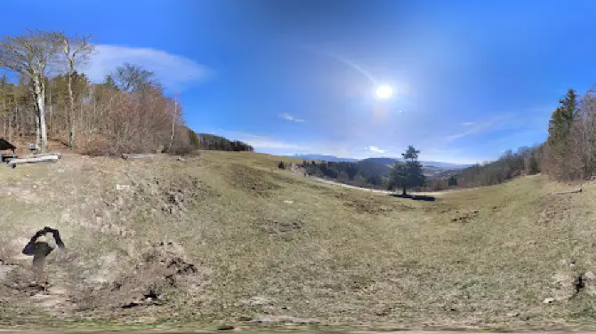 Borovica pod Kučerovkou