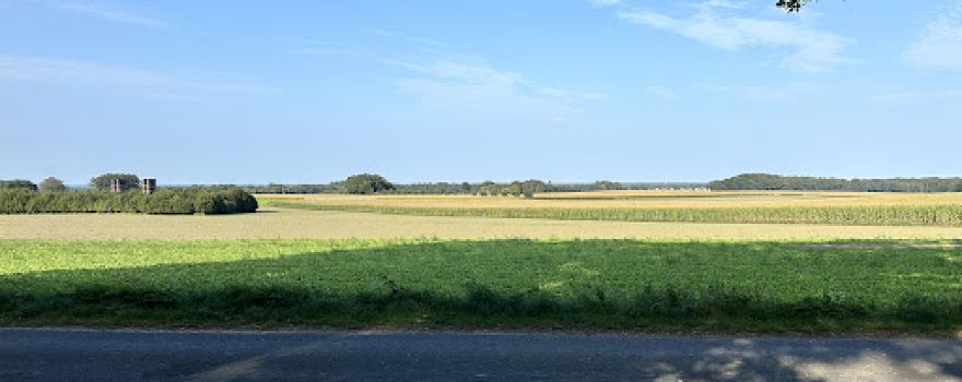 Sussumer Steinplateau