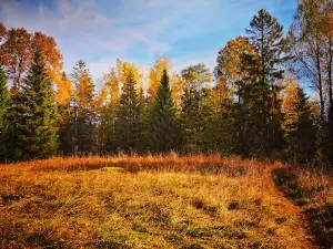 Vakö myr