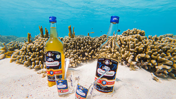 CATA BANANA Excursion