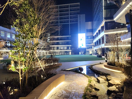 도심 인접 공원 전경