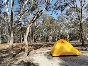 Bungonia campground