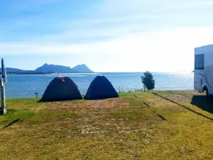 Ruakaka Beach Holiday Park