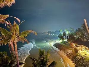 The Black Sand Beach Varkala