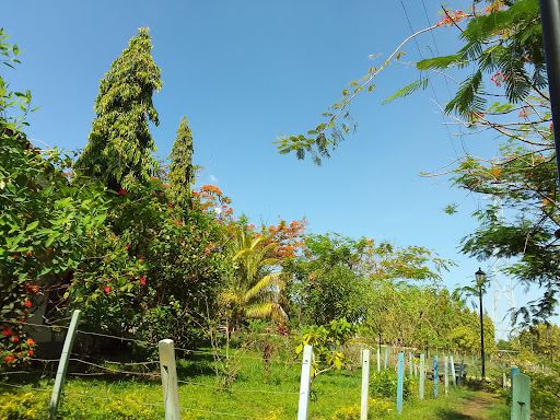 Urbano Forestal Los Poetas Park